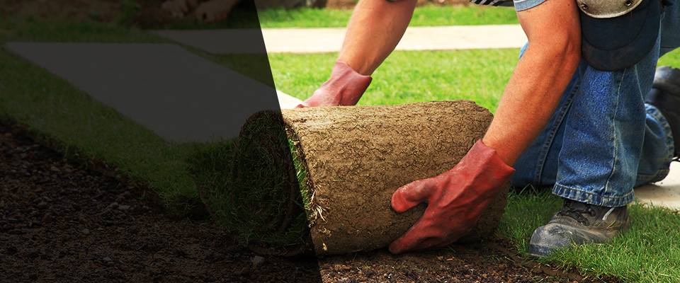 Statesboro Landscapers